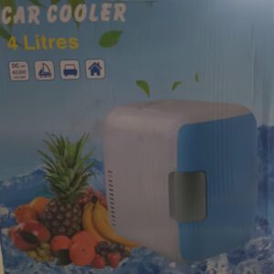 4lt dual use mini fridge for car home drinks skincare products blue