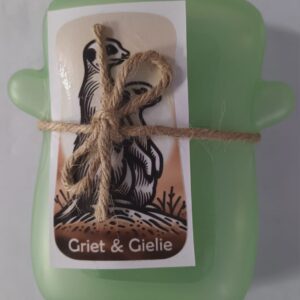 squeeze hard cover box green